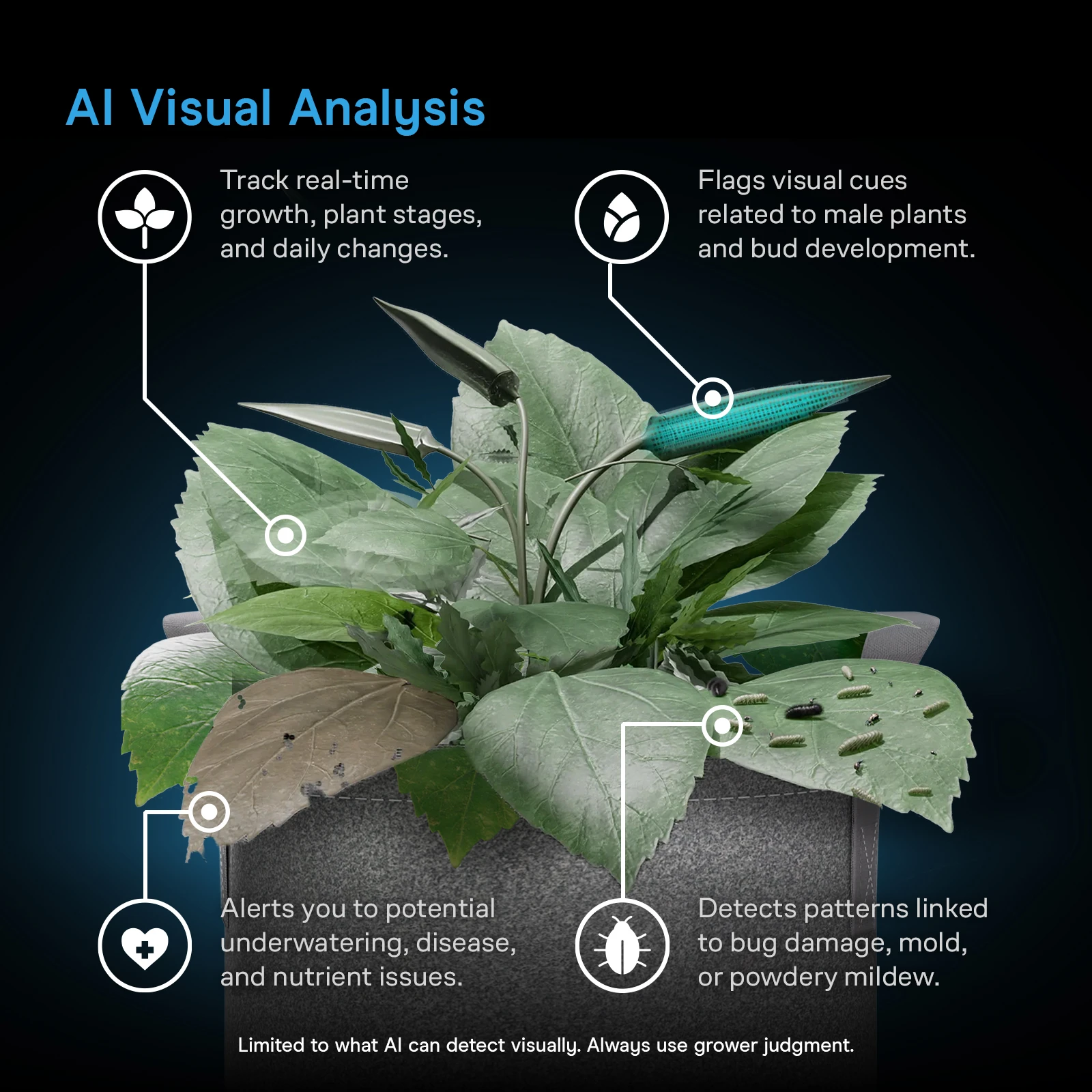 4K Spectron 3 – Advanced 4K Grow Camera with AI - slika 5